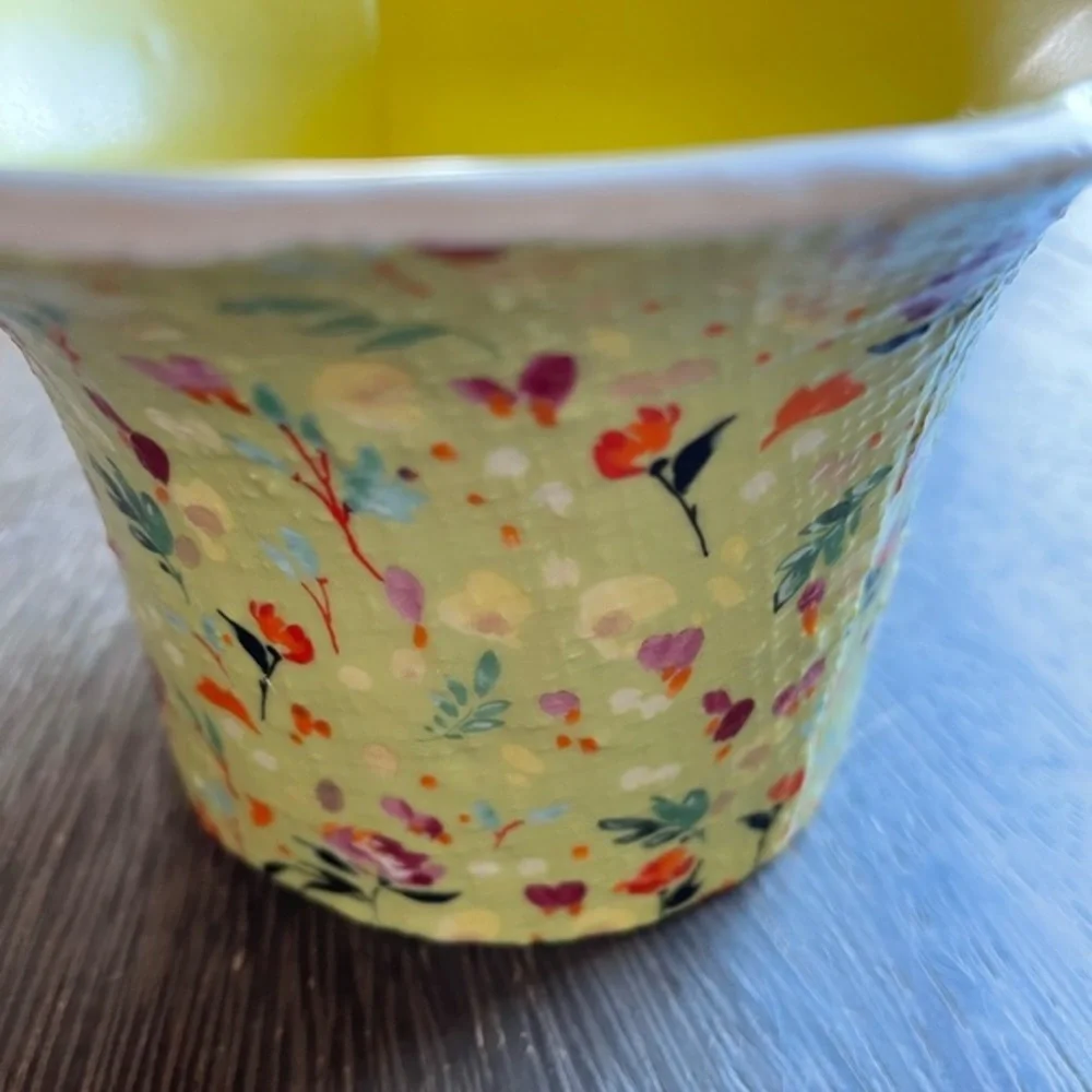 New🌟Anthropologie-Appoline Planter